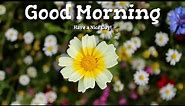 New Good Morning Flowers Images // Good Morning