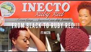 DYEING MY HAIR RUBY RED FT INECTO (RUBY RED) |SOUTHAFRICANYOUTUBER