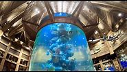 WOW! Amazing resort inside the Bass Pro Shop at the Pyramid, Memphis TN