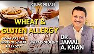 Wheat Allergies and Celiac Disease in Children | Signs of Wheat Allergy | Dr. Jamal A Khan
