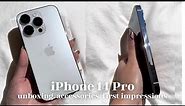 iPhone 14 Pro (Silver) 512GB | Unboxing, Accessories Haul, Camera Test, Review