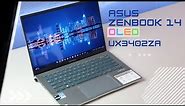 The New Mainstream Standard? - ASUS Zenbook 14 OLED UX3402ZA Overview