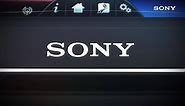 Sony OEM Systems