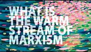 What is the Warm-Stream of Marxism? feat. Tijana Okić