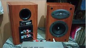 Celestion F10 Speakers