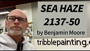 Sea Haze 2137-50 by Benjamin Moore | IS THIS A GREEN OR GRAY??