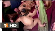 Scooby-Doo (6/10) Movie CLIP - Scrappy-Doo (2002) HD