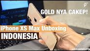 Review & Unboxing iPhone XS Max Gold & Grey - Indonesia by iTechlife