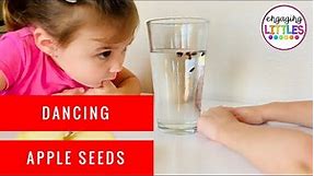 Dancing Apple Seeds - Science for Kids
