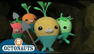 Octonauts - The Vegimals Save the Day! | Full Episodes | Cartoons for Kids