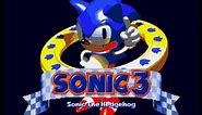 Sonic the Hedgehog 3 (Nov 3, 1993 prototype)