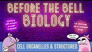 Cell Organelles & Structures: Before the Bell Biology