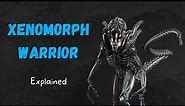 Xenomorph Warrior - Explained (Alien Lore)