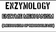 Enzymology/Mechanism of Ribonuclease