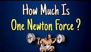Force | How much is One Newton ?