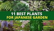 Top 11 Plants for a Japanese Zen Garden 👌
