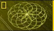 Crop Circle Mystery | National Geographic