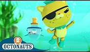 Octonauts - Kwazii the Brave Cat | Cartoons for Kids | Underwater Sea Education