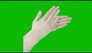Hand Claps Green Screen | Everything Green Screen