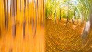 CREATIVE PHOTOGRAPHY TIPS - Camera Motion Blur Effects