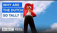 Why the Dutch are the tallest people in the world - BBC REEL