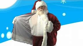 Costumes For Santa: Majestic Santa Suit