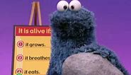 Sesame Street: Who's Alive?