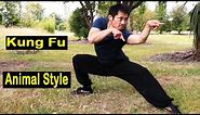 Kung Fu Animal Style With Stances Training