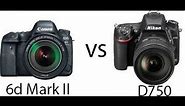 Canon 6d Mark II vs Nikon D750 Image Quality Comparison