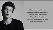 Shawn Mendes - Perfectly Wrong (lyrics)