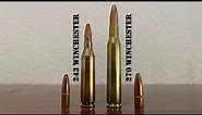 243 vs 270 Winchester Review & Comparison
