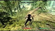 Elder Scrolls: Skyrim - Werewolf vs Dragon