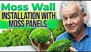 Moss Wall Installation Using Moss Panels