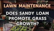 Does Sandy Loam Promote Grass Growth?