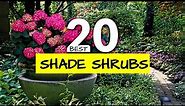 20 Colorful Shade-Loving Shrubs to Transform Your Garden