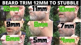 Trim Beard and Compare Each Length (12mm - 4mm)