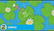 SONGS | Camouflage | PBS KIDS