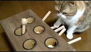 Cat is an expert at this whack-a-mole game