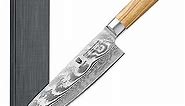 BRODARK Damascus Chef Knife 8 Inch,Japanese Kitchen Knife with VG10 Steel Core,Ultra Sharp Professional Chef's Knife,Olive Wood Handle,High Carbon Stainless Steel Cooking Knife,Gift Box