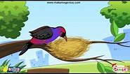 Animals Homes, Birds Nests - for Kids