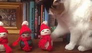 Cat intentionally knocks over all Christmas decorations