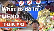 A Must See Area in Tokyo for Sight Seeing ♢ What's in Ueno, Tokyo