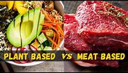 Plant Based Vs Meat Based Diet (Which Is Better)
