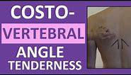 Costovertebral Angle Tenderness Exam | CVA Percussion Assessment Test
