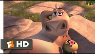 Madagascar: Escape 2 Africa (2008) - Moto Moto Likes You Scene (4/10) | Movieclips