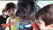 Lost keys & Dog day | Topsy & Tim Double episode 105-106 | HD Full Episodes | Shows for Kids