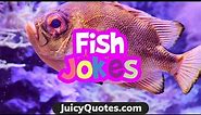 Funny Fish Jokes and Puns - Have a Good Laugh