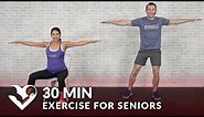 30 Min Exercise for Seniors, Elderly, & Older People - Seated Chair Exercise Senior Workout Routines