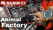 NAMM 22: Animal Factory Amplification - Tannhauser Gates Quad VCA