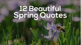 12 Beautiful Spring Quotes and Sayings